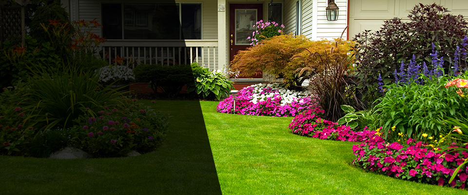 Roanoke Rapids Landscapers