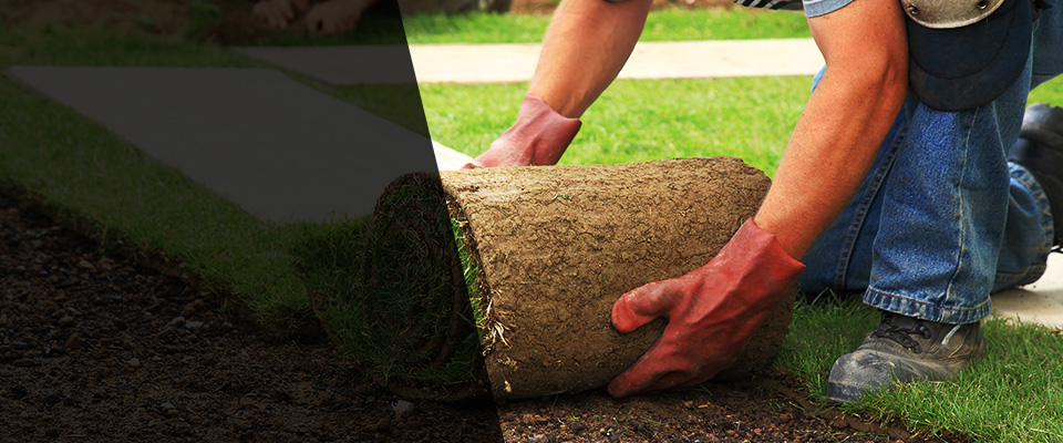 Roanoke Rapids Landscapers